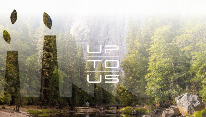 Sustainable Procurement